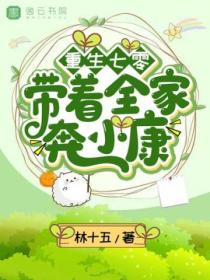 重生七零:带着全家奔小康