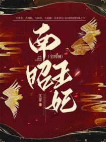 南诏王妃（全四册）