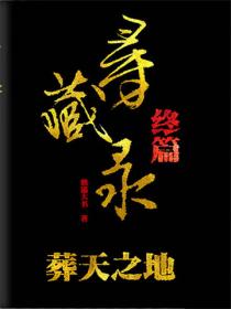 寻藏录7葬天之地