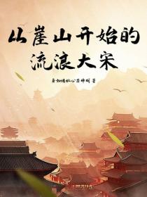 从崖山开始的流浪大宋