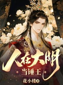 人在大明当锤王