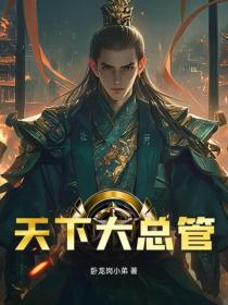 天下大总管