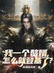 我一个赘婿，怎么就登基了？