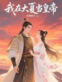 我在大夏当皇帝