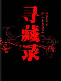 寻藏录6上古文明