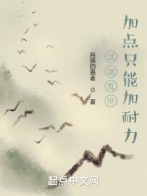 武道乱世:加点只能加耐力