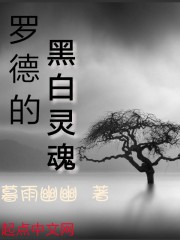 绝对世界I罗德的黑白灵魂