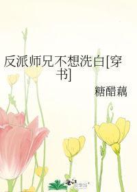 反派师兄不想洗白[穿书]