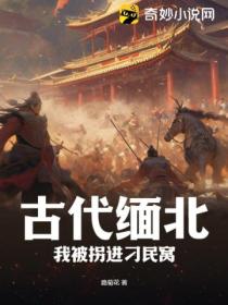 古代缅北:我被拐进刁民窝