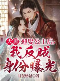 大唐:迎娶公主后,我反贼身份曝光