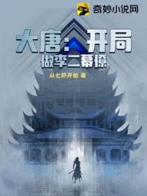 大唐:开局做李二幕僚