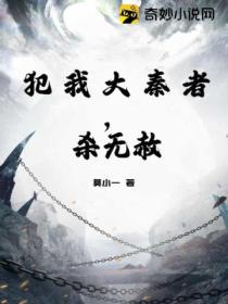 犯我大秦者,杀无赦