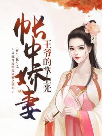 帐中娇妻：王爷的掌上光