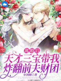 离婚后,天才三宝带我炸翻前夫财团