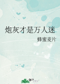 炮灰才是万人迷