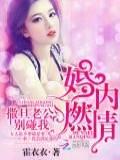 婚内燃情:撒旦老公,别碰我
