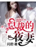 总裁的夜妻