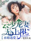 再婚遇爱：云少宠妻无上限