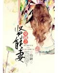 穿越之贤能妻