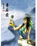 奇石录