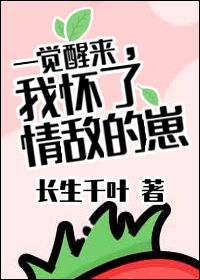 一觉醒来，我怀了情敌的崽！