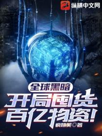 全球黑暗:开局囤货百亿物资!