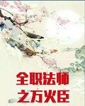 全职法师之万火臣服