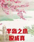 半岛之小说成真