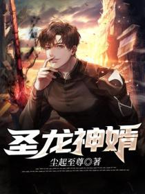 圣龙神婿