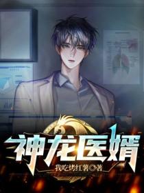 神龙医婿