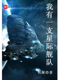 我有一支星际舰队