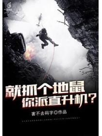 就抓个地鼠,你派直升机?