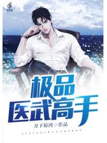 极品医武高手