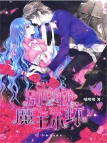 别吻我,魔王小坏1