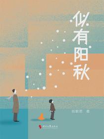 似有阳秋