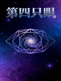 第四只眼