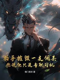 抬手摧毁一支佣兵，你说他只是专职司机